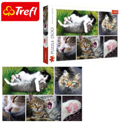 Trefl Puzzle - Macskadolgok kollázs 1500 db-os