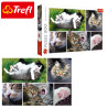 Trefl Puzzle - Macskadolgok kollázs 1500 db-os
